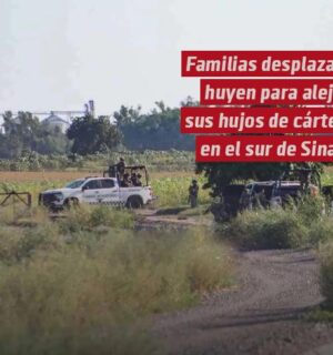 Familias desplazadas huyen de Sinaloa