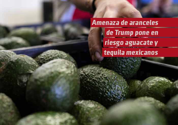 Amenaza de aranceles de Trump pone en riesgo aguacates y tequila mexicanos