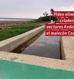 Piden eliminar el criadero de vectores en el malecón costero