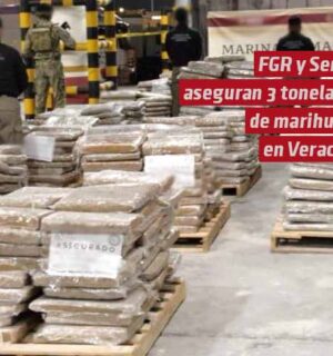 FGR y Semar aseguran más de tres toneladas de marihuana en Veracruz