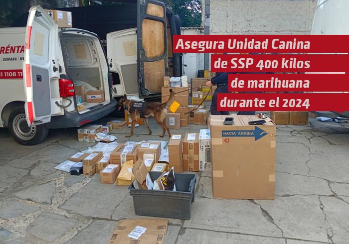 Asegura Unidad Canina de SSP 400 kilos de marihuana durante el 2024