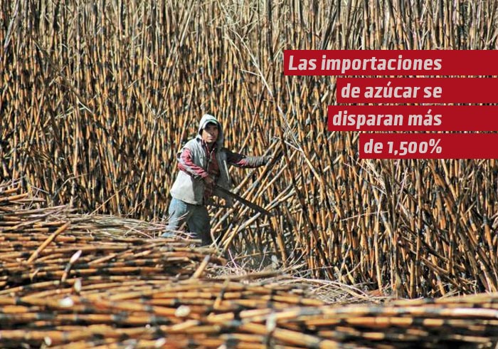 Las importaciones de azúcar se disparan más de 1,500%