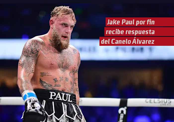 Jake Paul por fin recibe respuesta de un Canelo Álvarez harto de sus constantes desafíos