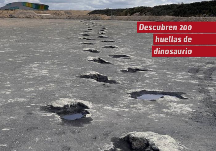 Descubren 200 huellas de dinosaurios de 166 millones de años de antigüedad