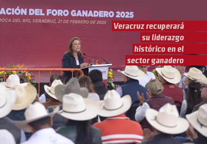 Veracruz recuperará su liderazgo histórico en el sector ganadero: Rocío Nahle