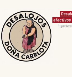 Desalojos efectivos S.A.