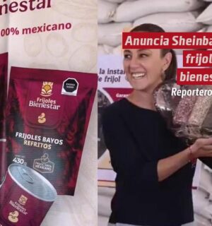 Anuncia Sheinbaum Frijol del Bienestar