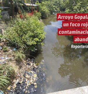 Arroyo Gopalapa: un foco rojo de contaminación y abandono