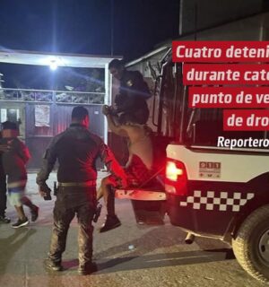 Cuatro detenidos durante cateo a punto de venta de droga en Playa Vicente