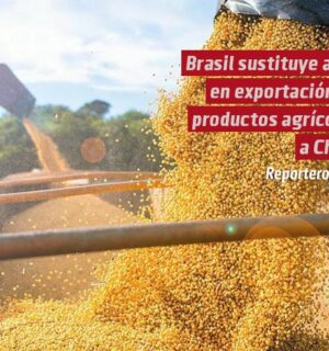 China ya encontró sustituto a productos agrícolas provenientes de EEUU