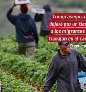 Trump asegura que dejará por un tiempo a los migrantes que trabajan en el campo