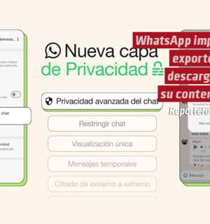 WhatsApp impide que integrantes de un chat exporten o descarguen su contenido