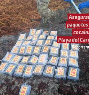 Aseguran 45 paquetes con cocaína en Playa del Carmen, Quintana Roo