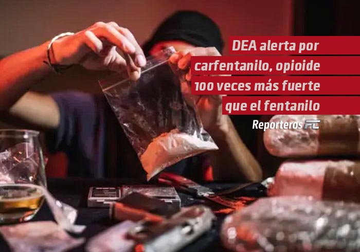 DEA alerta por carfentanilo, opioide 100 veces más fuerte que el fentanilo