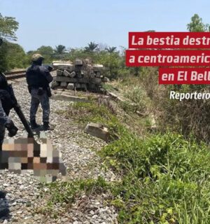 La bestia destroza a centroamericano en El Bellaco