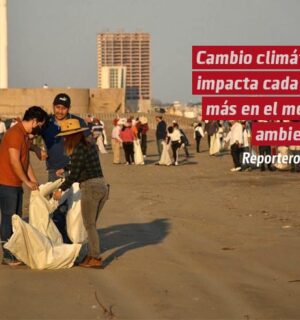 Cambio climático impacta cada vez más en el medio ambiente