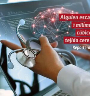 Alguien escaneó 1 milímetro cúbico de tejido cerebral