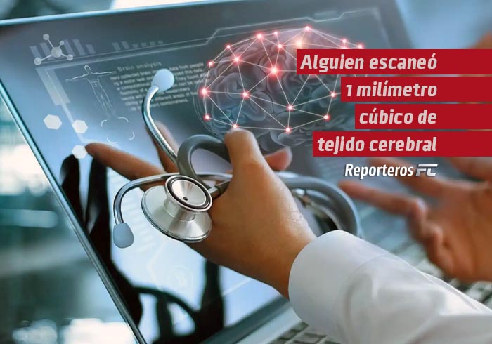 Alguien escaneó 1 milímetro cúbico de tejido cerebral