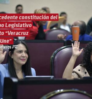 Procedente, constitución del Grupo Legislativo Mixto “Veracruz nos Une”