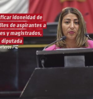 Verificar idoneidad de perfiles de aspirantes a jueces y magistrados, pide diputada