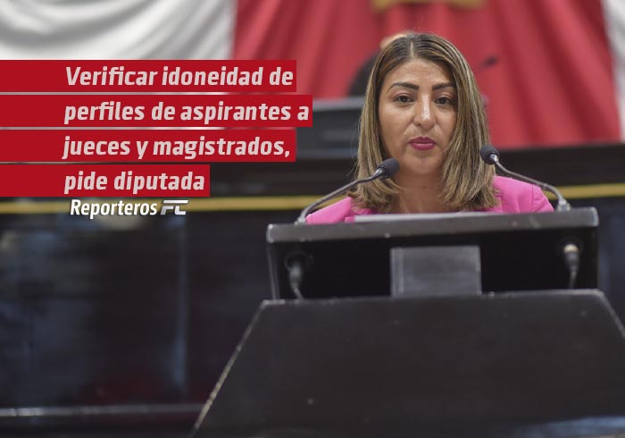 Verificar idoneidad de perfiles de aspirantes a jueces y magistrados, pide diputada