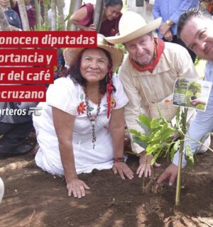 Reconocen diputadas importancia y valor del café veracruzano