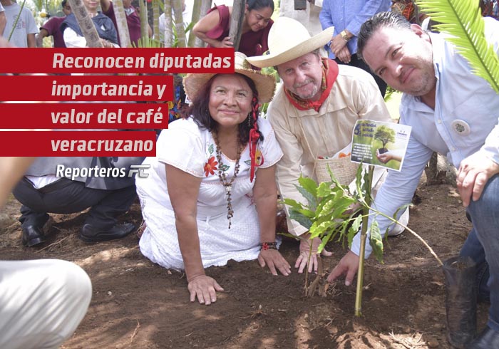 Reconocen diputadas importancia y valor del café veracruzano