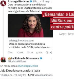 ¿Demandan a Laisha Wilkins por tuit contra política?