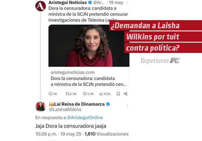 ¿Demandan a Laisha Wilkins por tuit contra política?