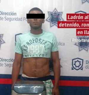 Ladrón tenía hartos a vecinos en Torreón; al ser detenido, rompió en llanto