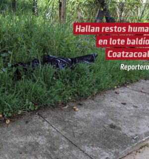 Hallan restos humanos en lote baldío de la colonia Héroes de Nacozari, en Coatzacoalcos