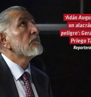 Adán Augusto, un alacrán de peligro: Gerardo Priego Tapia