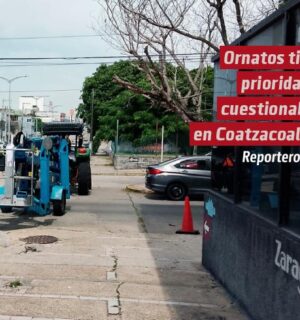 Ornatos tiene prioridades cuestionables y retrasos que afectan a ciudadanos