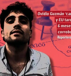 Ovidio Guzmán “cantó” y Estados Unidos tardará 6 meses en corroborar