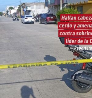 Hallan cabeza de cerdo y amenazas contra sobrino del líder de la CTM en Coatzacoalcos