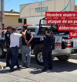 Hombre muere tras ataque de un perro dóberman en Saltillo