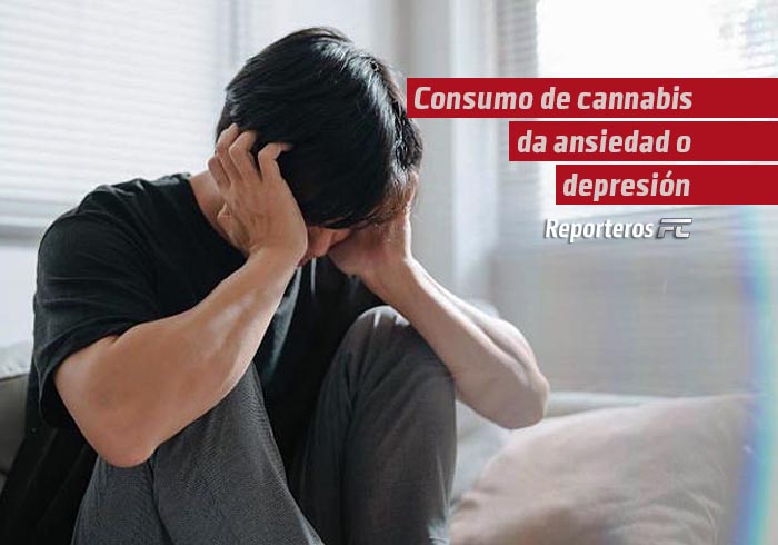 Un estudio vincula el consumo de cannabis por ansiedad o depresión con mayor riesgo de paranoia grave