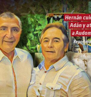 Hernán cuida a Adán y ataca a Audomaro