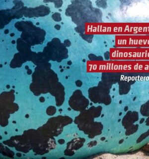 Hallan en Argentina un huevo de dinosaurio de 70 millones de años y podría pertenecer a un titanosaurio