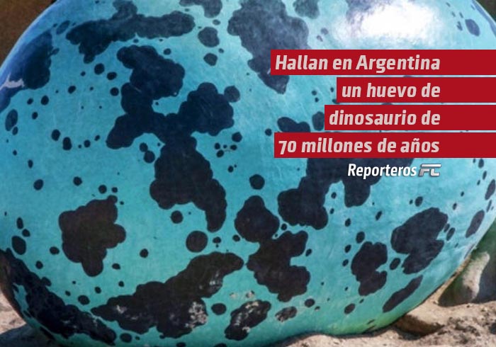 Hallan en Argentina un huevo de dinosaurio de 70 millones de años y podría pertenecer a un titanosaurio