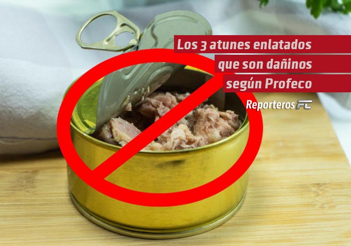 Los 3 atunes enlatados que son dañinos según Profeco
