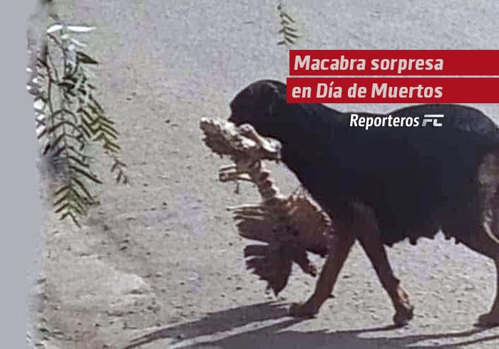 Macabra sorpresa en Día de Muertos
