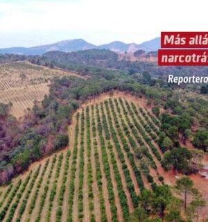 Más allá del narcotráfico