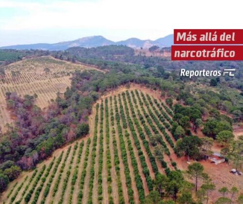 Más allá del narcotráfico