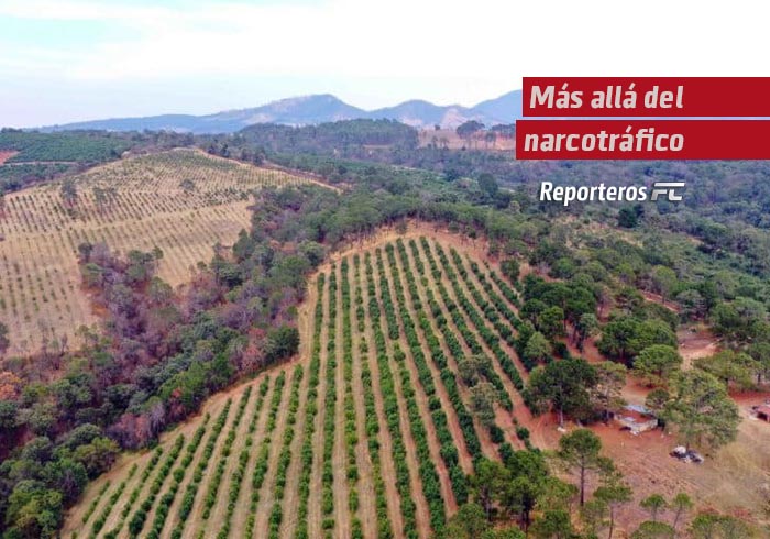 Más allá del narcotráfico