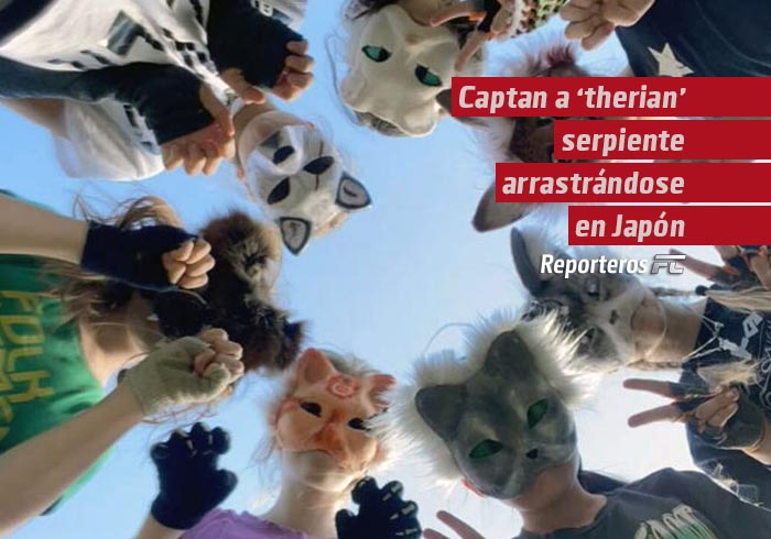 Captan a «therian» serpiente arrastrándose por la calle en Japón y video se viraliza