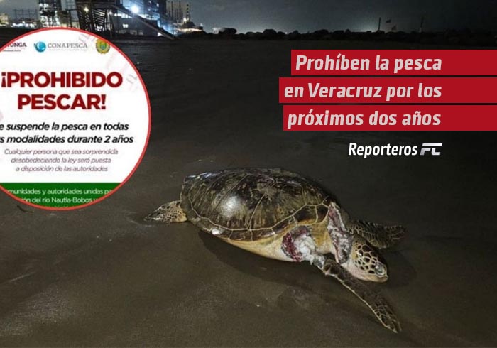 Prohíben la pesca en Veracruz por los próximos dos años