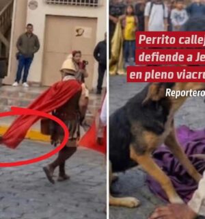 Perrito callejero defiende a Jesús en pleno viacrucis y conmueve a todos
