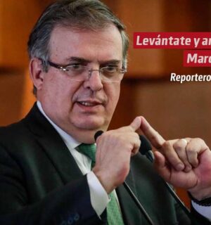 Levántate y anda, Marcelo