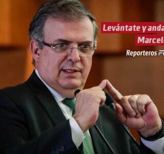 Levántate y anda, Marcelo